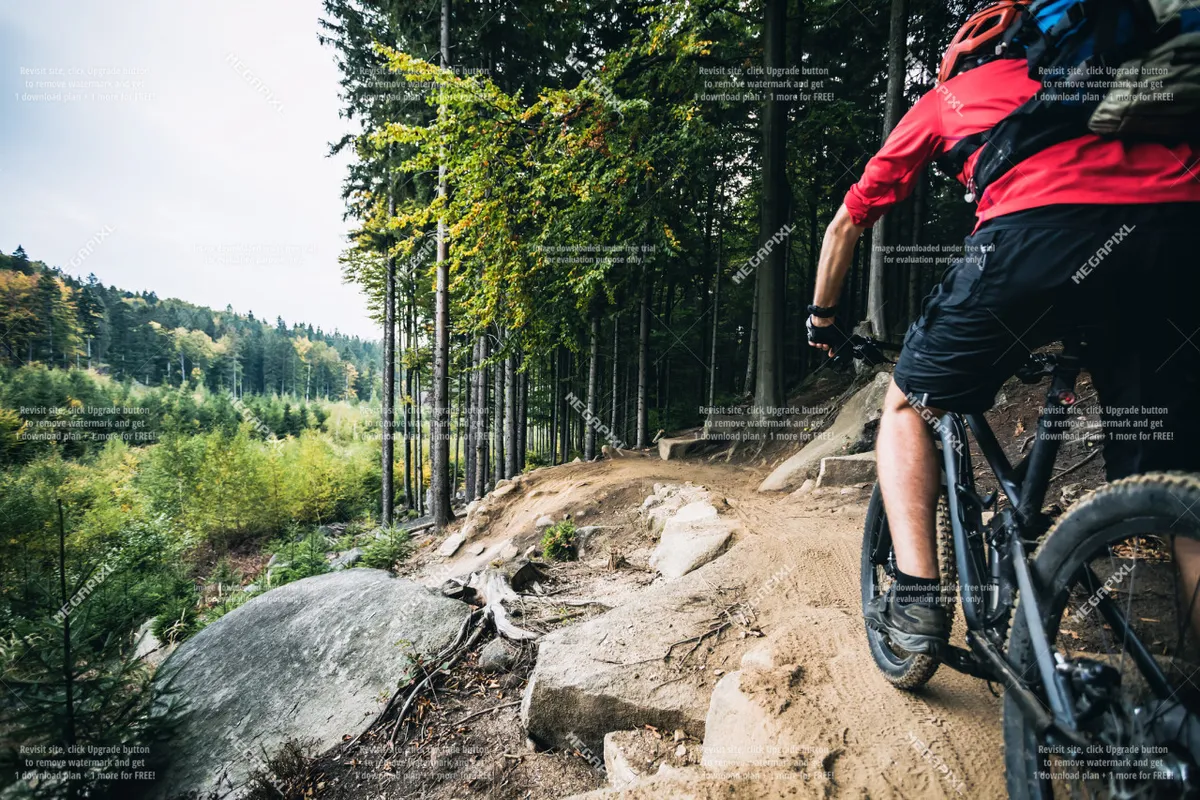 A mountain biker navigates a narrow dirt trail surrounded by tall trees and rocky terrain, capturing the thrill and adventure of outdoor recreation in a forested mountain setting.